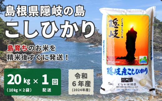 1703　【令和6年産】隠岐産こしひかり20Kg（10Kｇ×2袋）