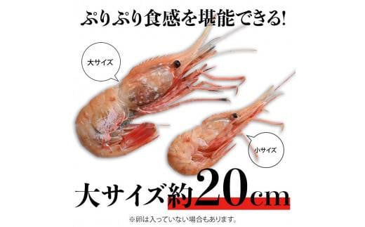 北海道産 知床羅臼産ボタンエビ 大サイズ900g（300g×3パック） ぼたんえび ぼたん海老 魚介類 北海道 魚介 海産物 冷凍 刺身 海鮮丼 生産者 支援 応援