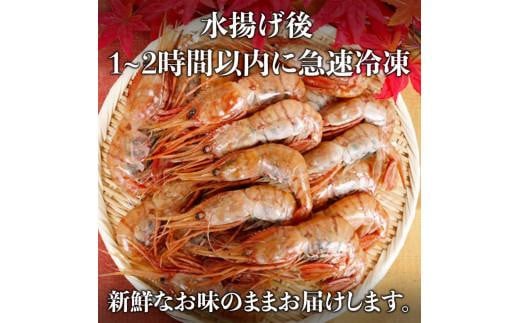 北海道産 知床羅臼産ボタンエビ 大サイズ900g（300g×3パック） ぼたんえび ぼたん海老 魚介類 北海道 魚介 海産物 冷凍 刺身 海鮮丼 生産者 支援 応援