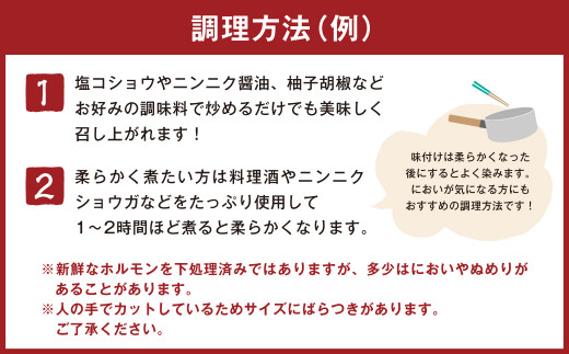 【生セット】生かボイルが選べる！豚ホルモン4種＆社長自家製甘辛タレセット 計約1.7kg（約5～6人分前） 