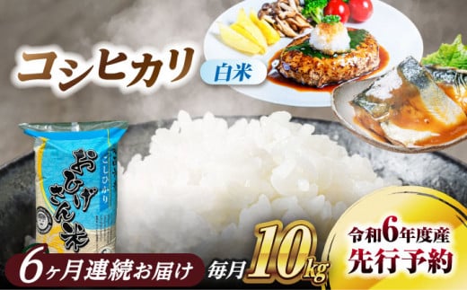 コシヒカリ 白米 10kg×6回 定期便 新米 令和6年度産