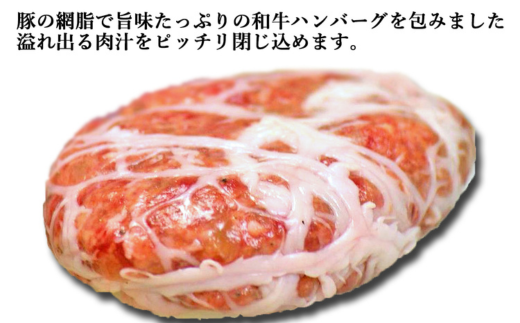 道産和牛ハンバーグ（200g）10個入り 【 ふるさと納税 人気 おすすめ ランキング 北海道産 和牛 ハンバーグ 肉 牛肉 和牛ハンバーグ 牛ハンバーグ 肉厚 デミグラス セット 大容量 詰合せ 北海道 室蘭市 送料無料 】 MROA046