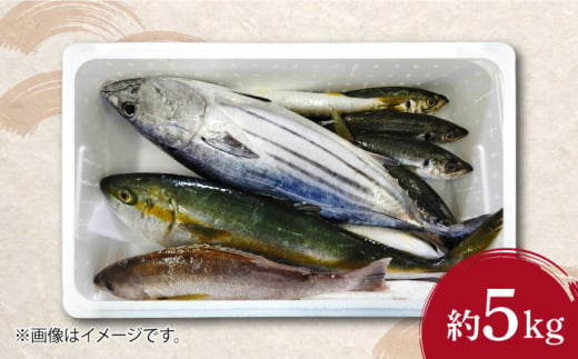 対馬 のお 魚 (結凪ユウナギ)  5kg《対馬市》【ゆうなぎ対馬】処理済み 鮮魚 新鮮 海鮮 イカ サザエ ヒラマサ ブリ 真鯛 クエ 冷蔵 [WAG004]冷蔵 下処理済み 簡単調理 生魚 鮮魚 朝獲れ 地魚 旬 新鮮 ブリ 真鯛 鯛 クエ ヒラマサ 刺身 お試し つしま 長崎 