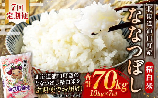 【7回定期便】浦臼産ななつぼし精白米10kg（5kg×2袋）