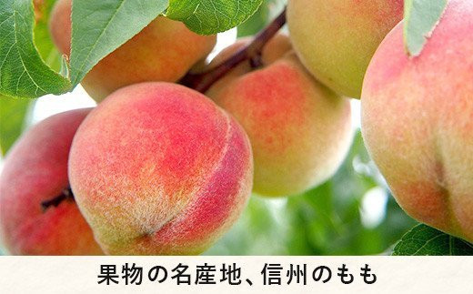 もも なつっこ 秀 ～ 特秀 約 3kg 大垣農園 配送先は本州限定 2023年8月中旬頃から2023年8月下旬頃まで順次発送予定 令和5年度収穫分 信州 果物 フルーツ モモ 桃 川中島 白桃 あかつき オリジナル品種 長野 16000円 予約 農家直送 長野県 飯綱町 [0443]