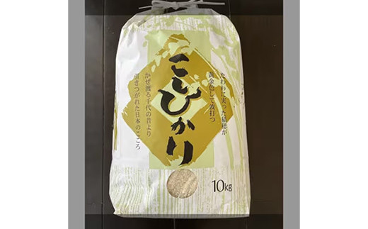 【令和6年産】有機肥料100％ 埼玉県幸手市産特別栽培コシヒカリ 精米10kg -2024年10月1週目より順次発送 新米発送 コシヒカリ こしひかり 米 精米 10kg 有機肥料 特別栽培米 幸手市産 埼玉県 幸手市【価格改定】