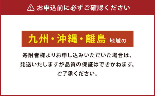 神内マンゴー 特品 350g以上 2玉入り 【2024年7月下旬～2024年9月下旬発送】