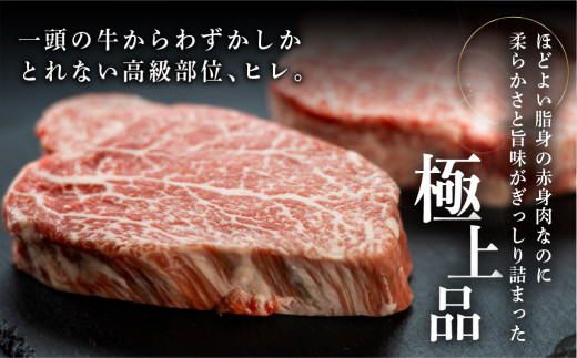 菊の井 飛騨牛ヒレステーキ  150g×2　牛肉 赤身 国産 ブランド牛 ヒレ ステーキ ギフト 贈答 牛 ヒレステーキ 飛騨牛 下呂市 【冷凍】