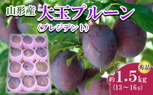 期間限定受付!!】奄美産すもも 家庭用 約3kg / スモモ 奄美