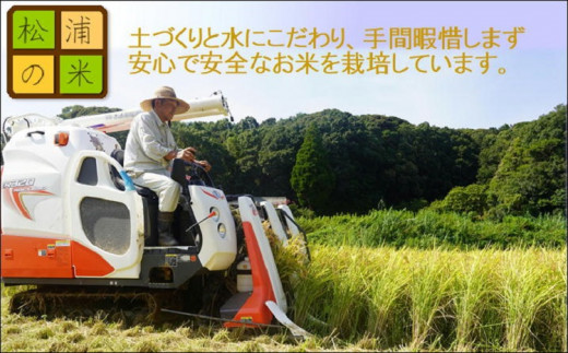 【令和6年産米】つづら水源の森を流れる水が育む松浦のお米 特A評価獲得の品種「にこまる」麗舞10kg( 米 お米 白米 ご飯 にこまる 10kg 送料無料 )【B4-017】