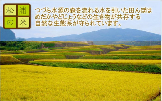 【令和6年産米】つづら水源の森を流れる水が育む松浦のお米 特A評価獲得の品種「にこまる」麗舞10kg( 米 お米 白米 ご飯 にこまる 10kg 送料無料 )【B4-017】