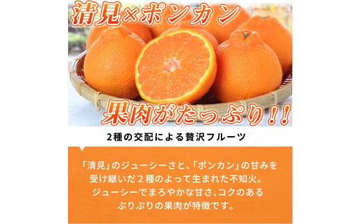 【ご家庭用訳あり】紀州有田産不知火(しらぬひ) 約3kg【2025年2月中旬以降発送】【先行予約】【UT129】