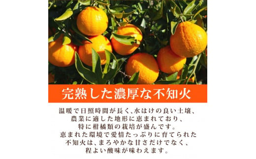 【ご家庭用訳あり】紀州有田産不知火(しらぬひ) 約3kg【2025年2月中旬以降発送】【先行予約】【UT129】