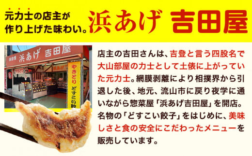 餃子 どすこい餃子 冷凍 60個 浜あげ吉田屋 《30日以内に出荷予定(土日祝除く)》千葉県 流山市 ぎょうざ ギョウザ 冷凍ぎょうざ 通常の約2倍 サイズ ジャンボ餃子 特大 元力士 が作った 惣菜 大きい