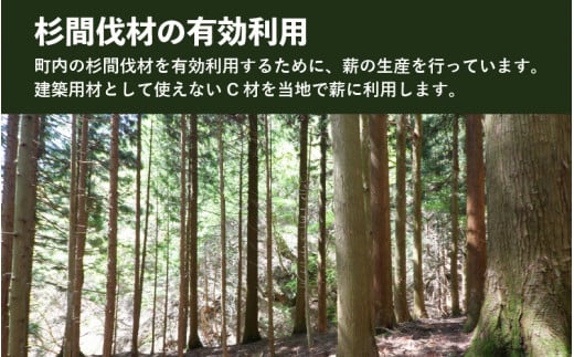 乾燥薪 針葉樹 30cm 約10kg【キャンプ アウトドア 焚き火 薪ストーブ 暖炉 ピザ窯 杉 焚き付け用】 [m47-a011]