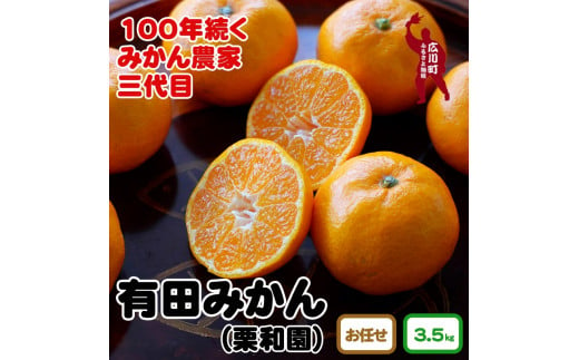 ▼和歌山県産　有田みかん 約3.5kg ※11月上旬～12月下旬頃に順次発送予定 【krw004-r-3d5】