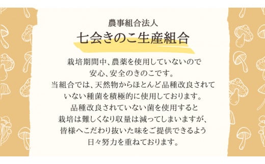 きのこ の 詰め合わせ Sサイズ  約1000g 【茨城県共通返礼品 城里町】 キノコ 舞茸 あわび茸 たもぎ茸 しいたけ ぶなしめじ  [CX001sa]