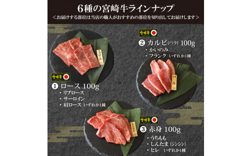 宮崎牛＜特選＞食べ比べ焼肉6種盛(合計600g) 牛肉 精肉 肉 ブランド和牛 お取り寄せ 国産 宮崎県【SG019】【株式会社SHINGAKI】