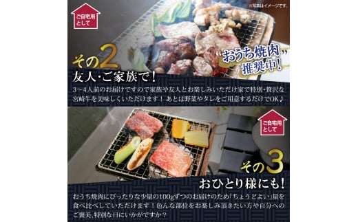 宮崎牛＜特選＞食べ比べ焼肉6種盛(合計600g) 牛肉 精肉 肉 ブランド和牛 お取り寄せ 国産 宮崎県【SG019】【株式会社SHINGAKI】