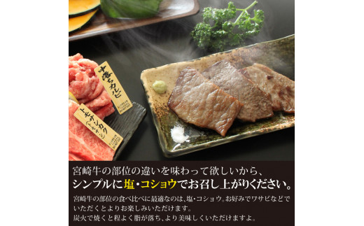 宮崎牛＜特選＞食べ比べ焼肉6種盛(合計600g) 牛肉 精肉 肉 ブランド和牛 お取り寄せ 国産 宮崎県【SG019】【株式会社SHINGAKI】