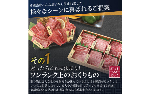 宮崎牛＜特選＞食べ比べ焼肉6種盛(合計600g) 牛肉 精肉 肉 ブランド和牛 お取り寄せ 国産 宮崎県【SG019】【株式会社SHINGAKI】