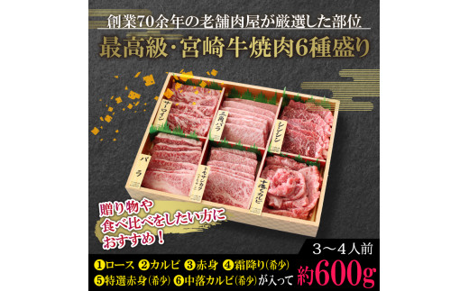 宮崎牛＜特選＞食べ比べ焼肉6種盛(合計600g) 牛肉 精肉 肉 ブランド和牛 お取り寄せ 国産 宮崎県【SG019】【株式会社SHINGAKI】