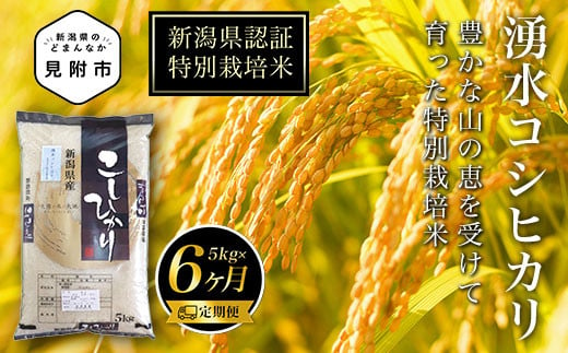 新潟 特別栽培米 令和6年産 コシヒカリ 「湧水コシヒカリ」 精米 30kg ( 5kg×6カ月 ）定期便 精米 したてを お届け 新潟 のど真ん中 見附市 こしひかり 米 お米 白米 国産 ごはん ご飯 県認証米 安心安全 ブランド 品集