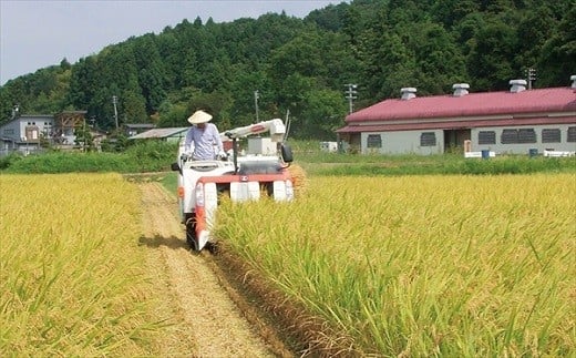 新潟 特別栽培米 令和6年産 コシヒカリ 「湧水コシヒカリ」 精米 30kg ( 5kg×6カ月 ）定期便 精米 したてを お届け 新潟 のど真ん中 見附市 こしひかり 米 お米 白米 国産 ごはん ご飯 県認証米 安心安全 ブランド 品集