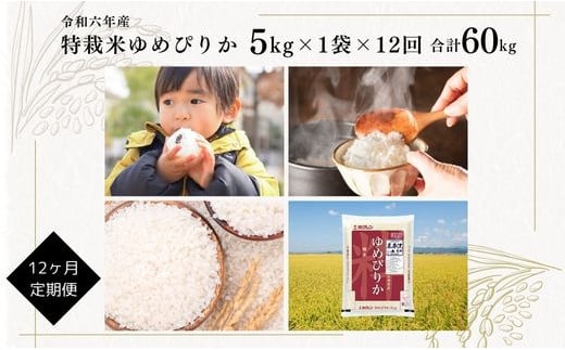 【定期便】【令和6年産】北海道産『特別栽培米 ゆめぴりか 5kg×12ヶ月』 日経トレンディ米のヒット甲子園 大賞受賞 毎月1回・計12回お届け 計60kg 定期便 単一原料米 特栽米 米 お米 白米 精米 こめ おこめ ごはん ご飯 送料無料 北海道 奈井江町