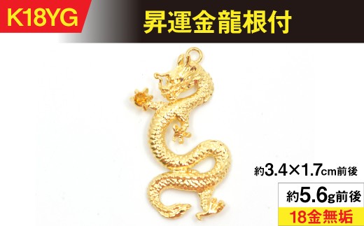 根付 龍 象牙根付 龍