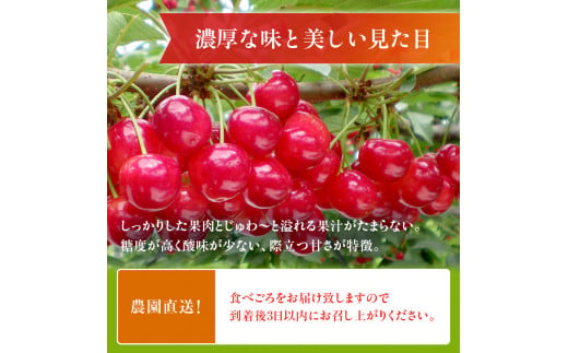 農園厳選 さくらんぼ 紅秀峰 2Lサイズ 以上600g（品質： ギフト 向け）