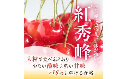 農園厳選 さくらんぼ 紅秀峰 2Lサイズ 以上600g（品質： ギフト 向け）