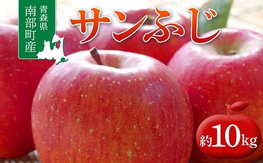 青森県 南部町産 りんご サンふじ 約10kg 【盛果園】 青森りんご リンゴ 林檎 アップル あおもり 青森 南部町 三戸 南部 果物 くだもの フルーツ F21U-366