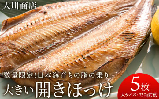 大きい 開きほっけ 5枚 セット ＜ 大川商店 ＞ ホッケ ほっけ 魚 北海道 干物 冷凍 北海道産