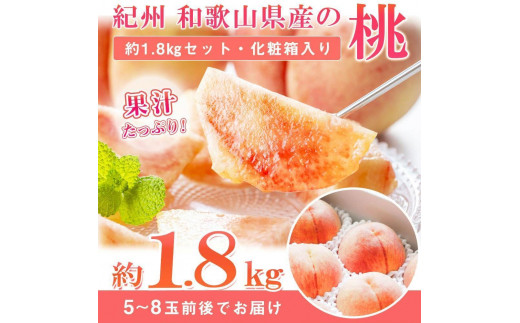 【6・8・10・12月 全4回】和歌山産 旬のフルーツ お楽しみ 定期便 【魚鶴商店】【UT108】