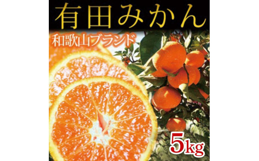 【6・8・10・12月 全4回】和歌山産 旬のフルーツ お楽しみ 定期便 【魚鶴商店】【UT108】