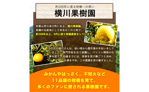 はるか 約7kg S～2L 家庭用 サイズ混合 横川果樹園 《2月上旬-3月中旬頃出荷》 和歌山県 日高川町 はるか みかん 果物 柑橘 フルーツ 送料無料