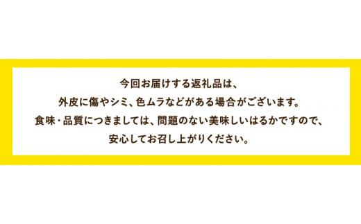 はるか 約7kg S～2L 家庭用 サイズ混合 横川果樹園 《2月上旬-3月中旬頃出荷》 和歌山県 日高川町 はるか みかん 果物 柑橘 フルーツ 送料無料