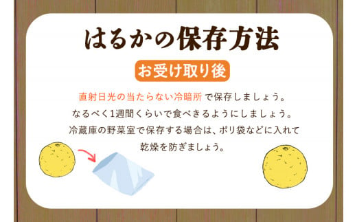 はるか 約7kg S～2L 家庭用 サイズ混合 横川果樹園 《2月上旬-3月中旬頃出荷》 和歌山県 日高川町 はるか みかん 果物 柑橘 フルーツ 送料無料