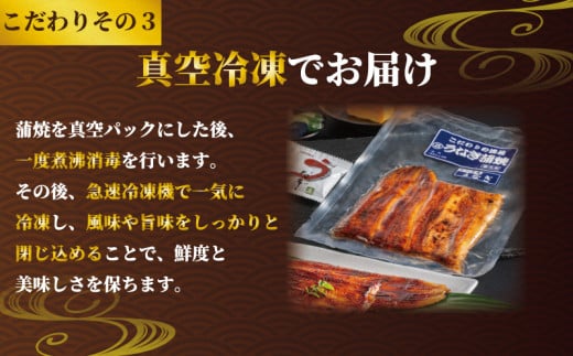 国産うなぎ蒲焼き タレ・山椒付き 4枚 1枚約100g 定期便6回  うなぎ 鰻 蒲焼 うな重 鰻丼 うな丼 ひつまぶし 土用の丑の日 土用丑 魚 海鮮 魚介類 肉 冷凍 真空パック 個包装 小分け おつまみ おかず 惣菜 ビール 酒 焼酎 日本酒 ウイスキー  お取り寄せ ギフト プレゼント 贈答 贈答用 贈り物  お中元 お歳暮 母の日 父の日 敬老の日 千葉県 銚子市 有限会社石毛川魚店
