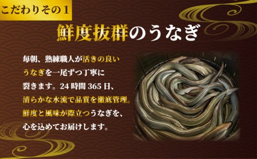 国産うなぎ蒲焼き タレ・山椒付き 4枚 1枚約100g 定期便6回  うなぎ 鰻 蒲焼 うな重 鰻丼 うな丼 ひつまぶし 土用の丑の日 土用丑 魚 海鮮 魚介類 肉 冷凍 真空パック 個包装 小分け おつまみ おかず 惣菜 ビール 酒 焼酎 日本酒 ウイスキー  お取り寄せ ギフト プレゼント 贈答 贈答用 贈り物  お中元 お歳暮 母の日 父の日 敬老の日 千葉県 銚子市 有限会社石毛川魚店
