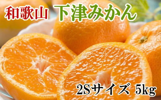 【産直・秀品】和歌山下津みかん　5kg(2Sサイズ) ※2024年11月中旬～2025年1月中旬頃に順次発送【tec868】