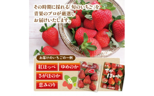 いちご 紅ほっぺ ゆめのか さがほのか 恋みのり 2000g フルーツ 果物 冷蔵 徳島県 阿波市 人気急上昇 16000円
