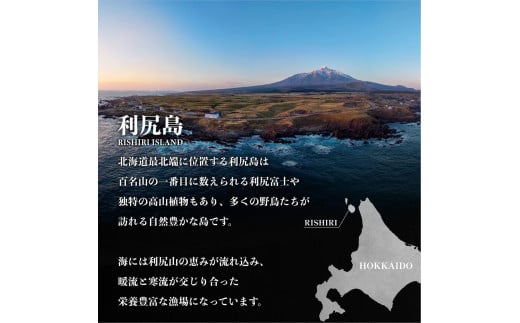 1等利尻昆布長切り4枚（約260g～300g）〈養殖〉北海道利尻島産