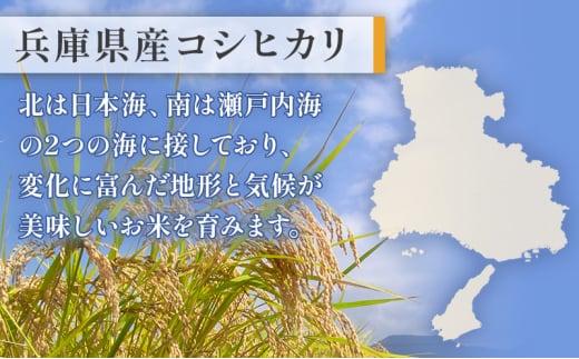 お米 令和6年産 兵庫県産コシヒカリ5kg 3ヶ月定期便 米 お米 新米 こめ コメ 白米 兵庫県 伊丹市 [№5275-0671]