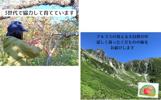 HF01-24D 信州松川町産りんご ４種のジャムセット（減農薬栽培）// 長野県 南信州 シナノゴールド サンふじ 能登の塩 シナモンジャム 減農薬栽培りんごを使用 甘さ控えめ 低糖度ジャム てんさい糖使用 