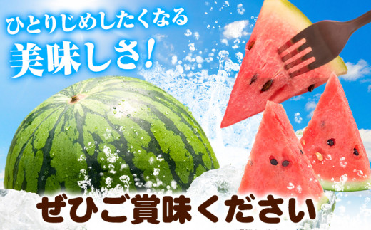 【先行予約】紀州和歌山産 小玉 スイカ 「ひとりじめ」 2玉 魚鶴商店《2025年6月上旬-6月下旬頃出荷》 和歌山県 日高町 スイカ スイーツ フルーツ 果物 くだもの すいか