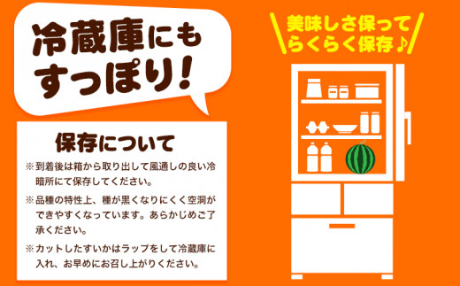 【先行予約】紀州和歌山産 小玉 スイカ 「ひとりじめ」 2玉 魚鶴商店《2025年6月上旬-6月下旬頃出荷》 和歌山県 日高町 スイカ スイーツ フルーツ 果物 くだもの すいか