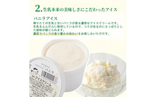 搾りたて生乳使用！ 濃厚バニラアイスクリーム＆いちごアイス 4個セット アイスクリーム 4000円