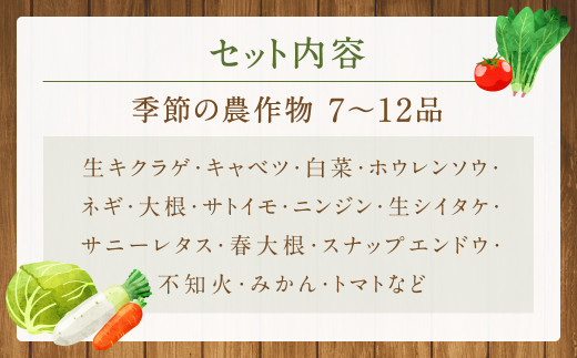 【2024年3月上旬より発送開始】ひとよし球磨産 新鮮農作物詰合せ